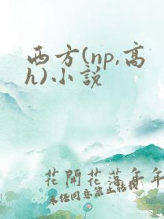 西方(np,高h)小说