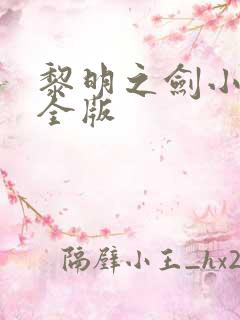 黎明之剑小说完全版
