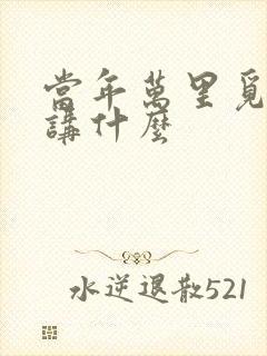 当年万里觅封侯讲什么