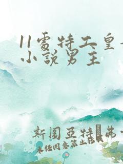 11处特工皇妃小说男主