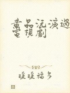 黄品沅演过所有电视剧