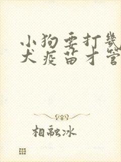 小狗要打几针狂犬疫苗才管用