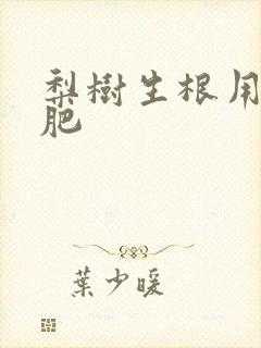 梨树生根用什么肥 梨树生根用什么肥