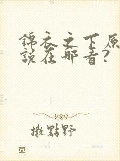 锦衣之下原著小说在哪看?