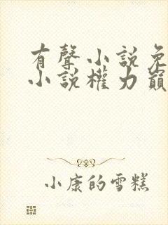 有声小说免费听小说权力巅峰