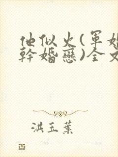他似火(军婚高干婚恋)全文免费