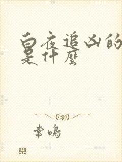 白夜追凶的结局是什么