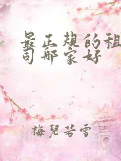 最正规的租车公司哪家好