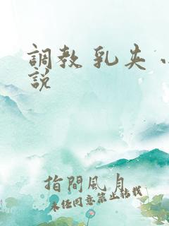 调教 乳夹 小说