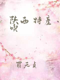 陕西 特产 小吃