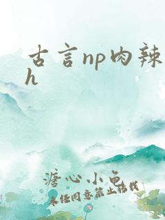 古言np肉辣文h