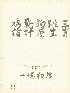 鸡飞狗跳三减六指什么生肖