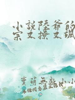 小说陆爷的小祖宗又撩又飒