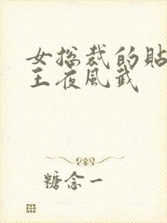 女总裁的贴身兵王夜风武