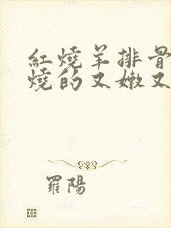 红烧羊排骨怎么烧的又嫩又好吃