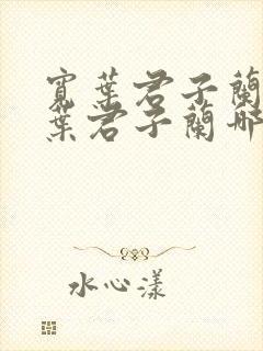 宽叶君子兰和窄叶君子兰哪个好