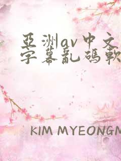 亚洲av中文字字幕乱码软件