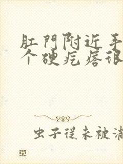 肛门附近手摸有个硬疙瘩很痛 肛门附近手摸有个硬疙瘩很痛