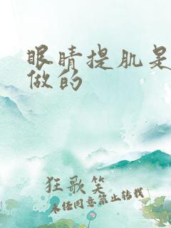 眼睛提肌是怎么做的