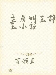 主角叫王铮的兵王小说