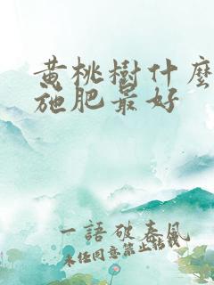 黄桃树什么时候施肥最好