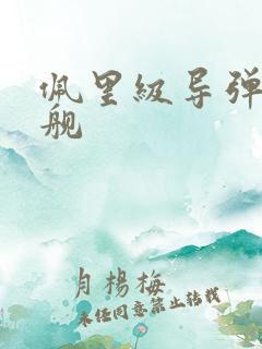 佩里级导弹护卫舰 佩里级导弹护卫舰