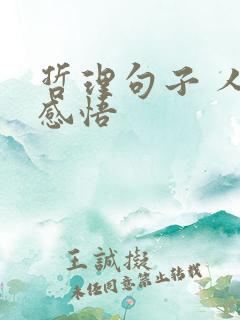 哲理句子 人生感悟