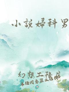 小说妇科男医