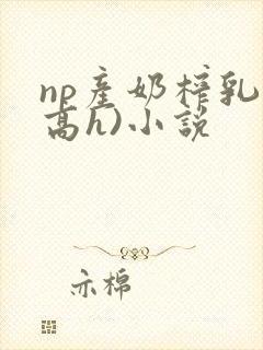 np产奶榨乳(高h)小说