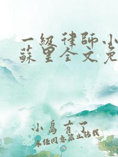 一级律师小说木苏里全文免费阅读