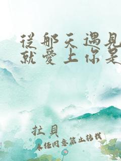 从那天遇见你我就爱上你是什么歌