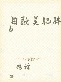 日欧美肥胖女人b