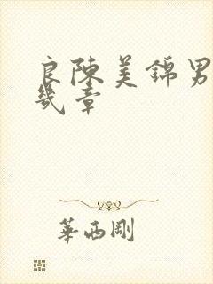 良陈美锦男主第几章