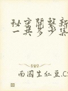 秘密关系新台剧一共多少集