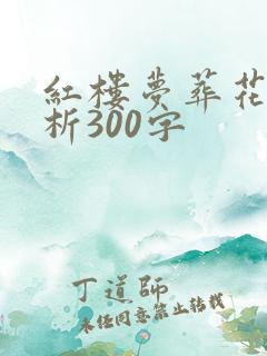 红楼梦葬花吟赏析300字
