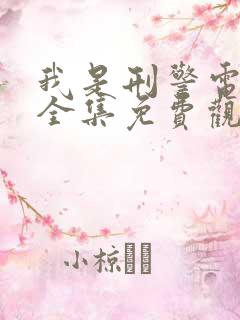 我是刑警电视剧全集免费观看下载