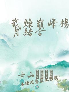 武炼巅峰杨开雪月结合