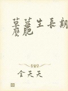 草莓生长期施什么肥