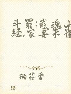 斗罗:武魂山海经,家妻朱雀长离 斗罗:武魂山海经,家妻朱雀长离