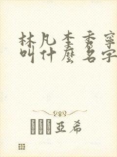 林凡李秀宁小说叫什么名字
