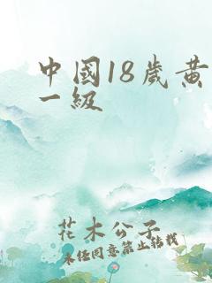 中国18岁黄色一级 中国18岁黄色一级