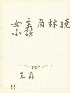 女主角林晓晴的小说