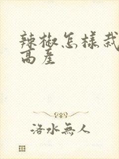 辣椒怎样栽培出高产