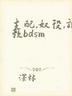 支配,奴役,调教bdsm