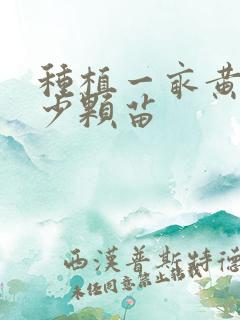 种植一亩黄精多少颗苗 种植一亩黄精多少颗苗