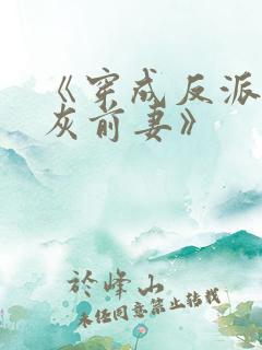 《穿成反派的炮灰前妻》