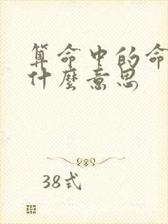 算命中的命硬是什么意思