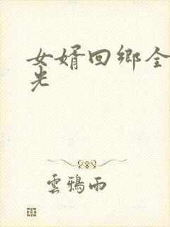女婿回乡全村风光
