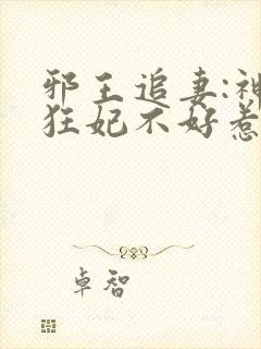 邪王追妻:神医狂妃不好惹
