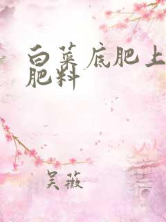 白菜底肥上什么肥料